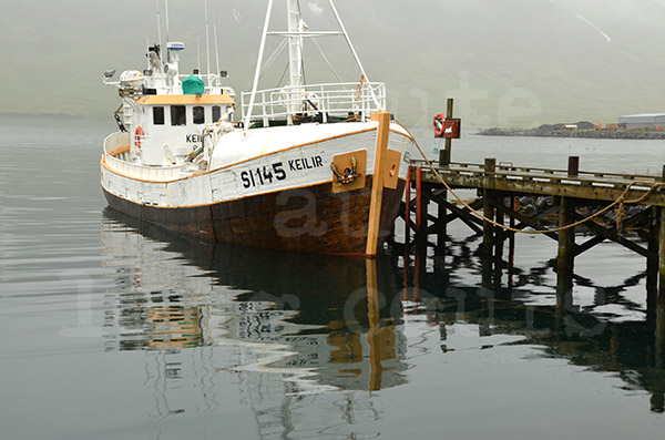 islande  péninsule de trollaskagi siglo siglufjordur hareng pêche port de pêche bateau chalutier