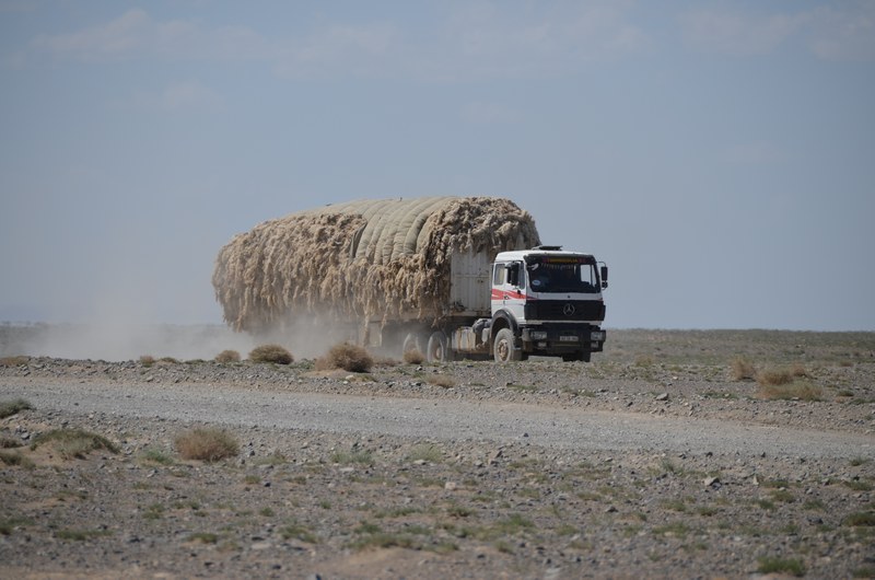 russie mongolie par la route camion gobi desert transport chargement laine