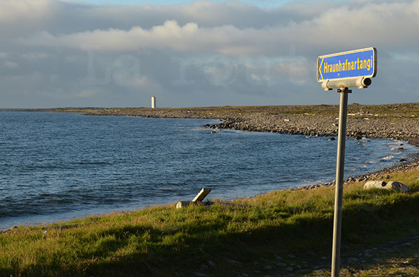 islande cap hraunhafnartangi point le plus au nord plage galets bois flottés phare
