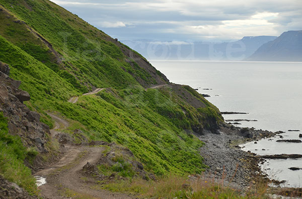 islande péninsule de pingeyri piste route montagne falaise océan fjord