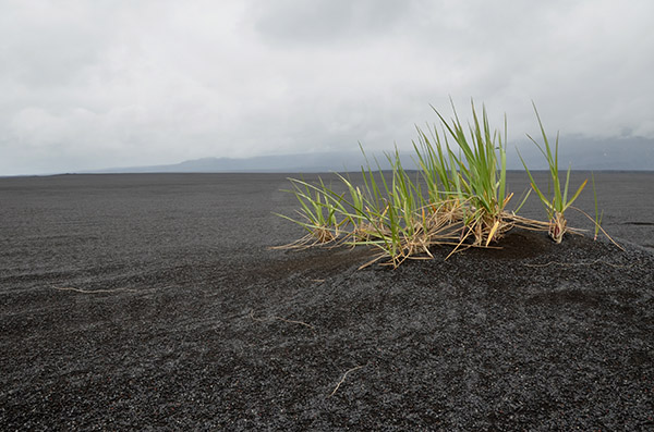 islande route f910 volcan cratère askja cendre noire désert herbe végétal