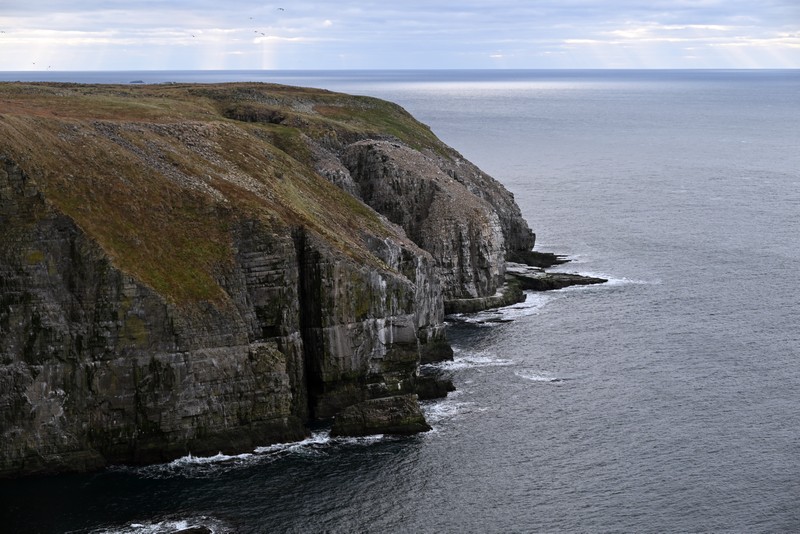 cape st mary's