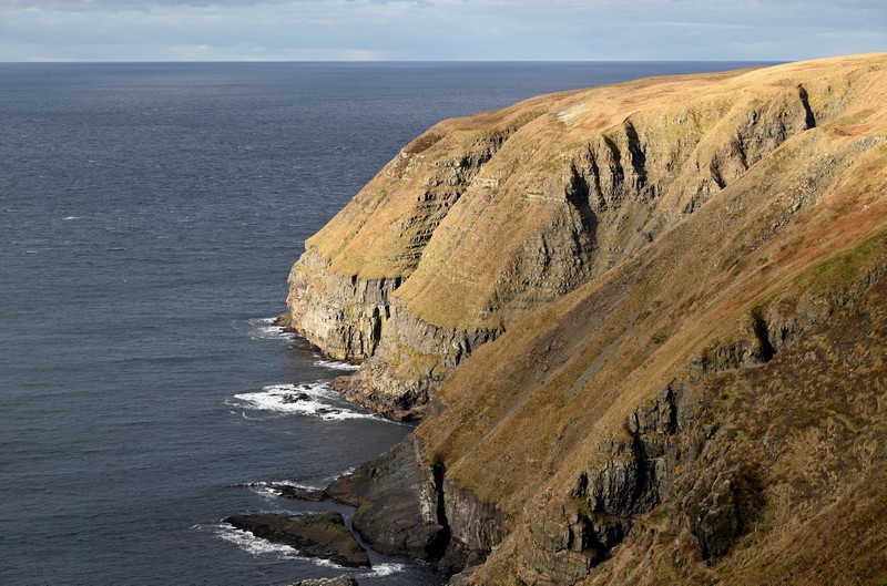 cape st mary's