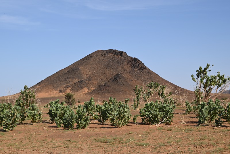 mauritanie