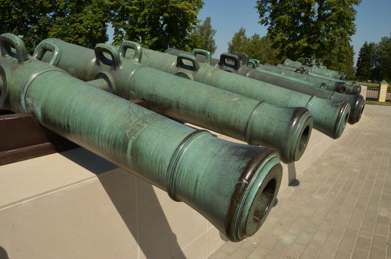 champ de bataille de Borodino russie napoleon canon