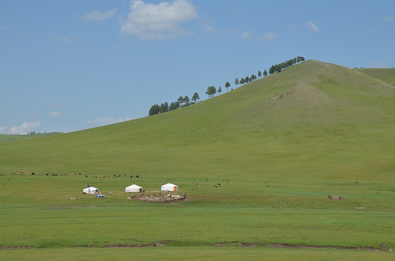 russie mongolie par la route steppe yourtes ger troupeaux