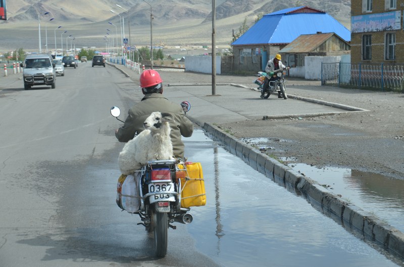 russie mongolie par la route altai altaï rue voitures motos transport chevre